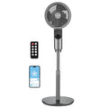 9-Inch Oscillating Pedestal Fan with Remote Control D1177