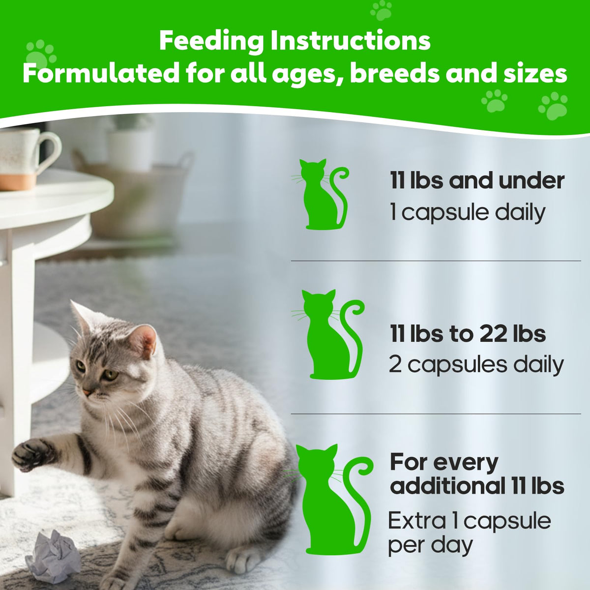 Cat Hairball Relief with Psyllium Seed Husk and Vitamins T72493