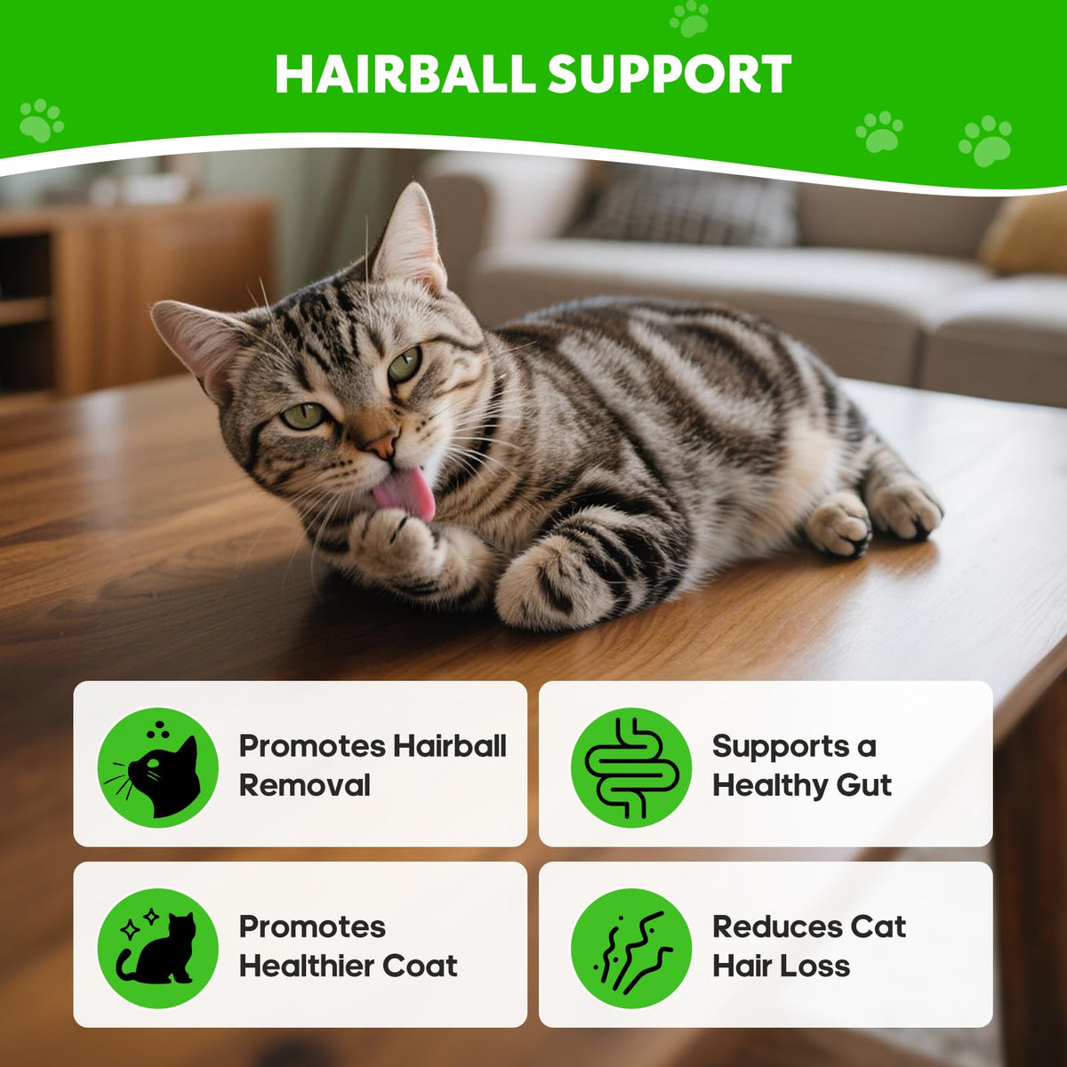 Cat Hairball Relief with Psyllium Seed Husk and Vitamins T72493