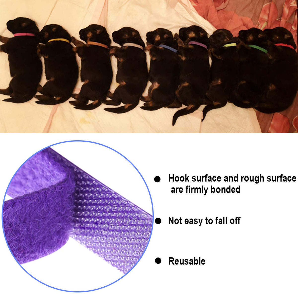 15 Pcs Soft Newborn Pet ID Bands U9952