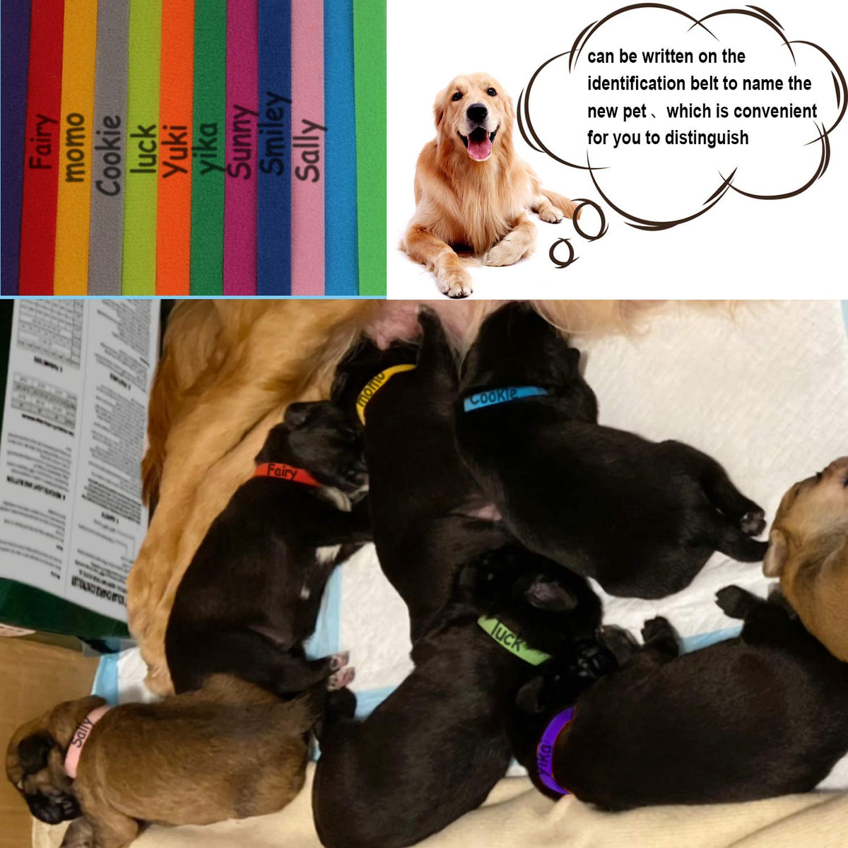 15 Pcs Soft Newborn Pet ID Bands U9952