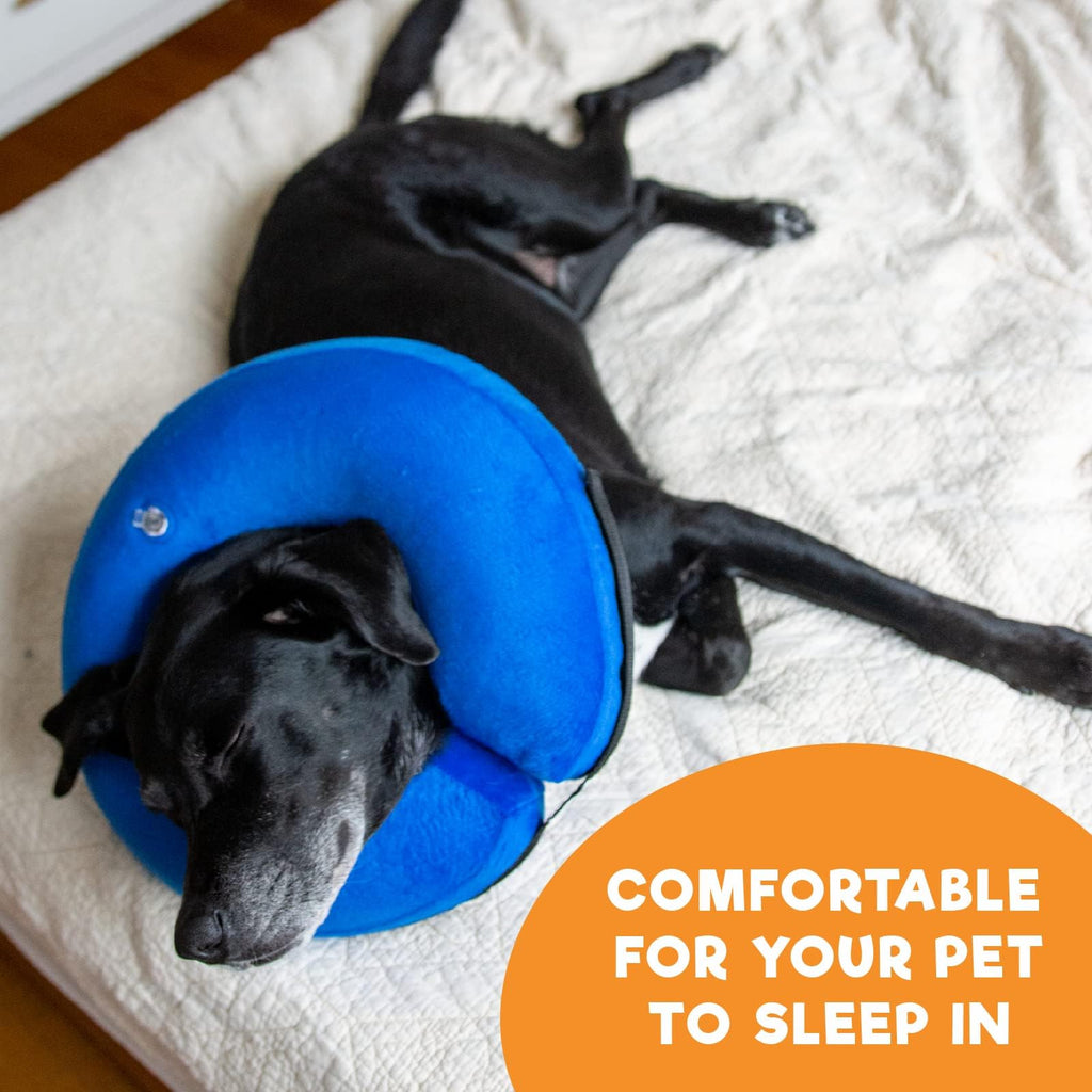 Inflatable Dog Cone Collar Alternative Large Blue U32326