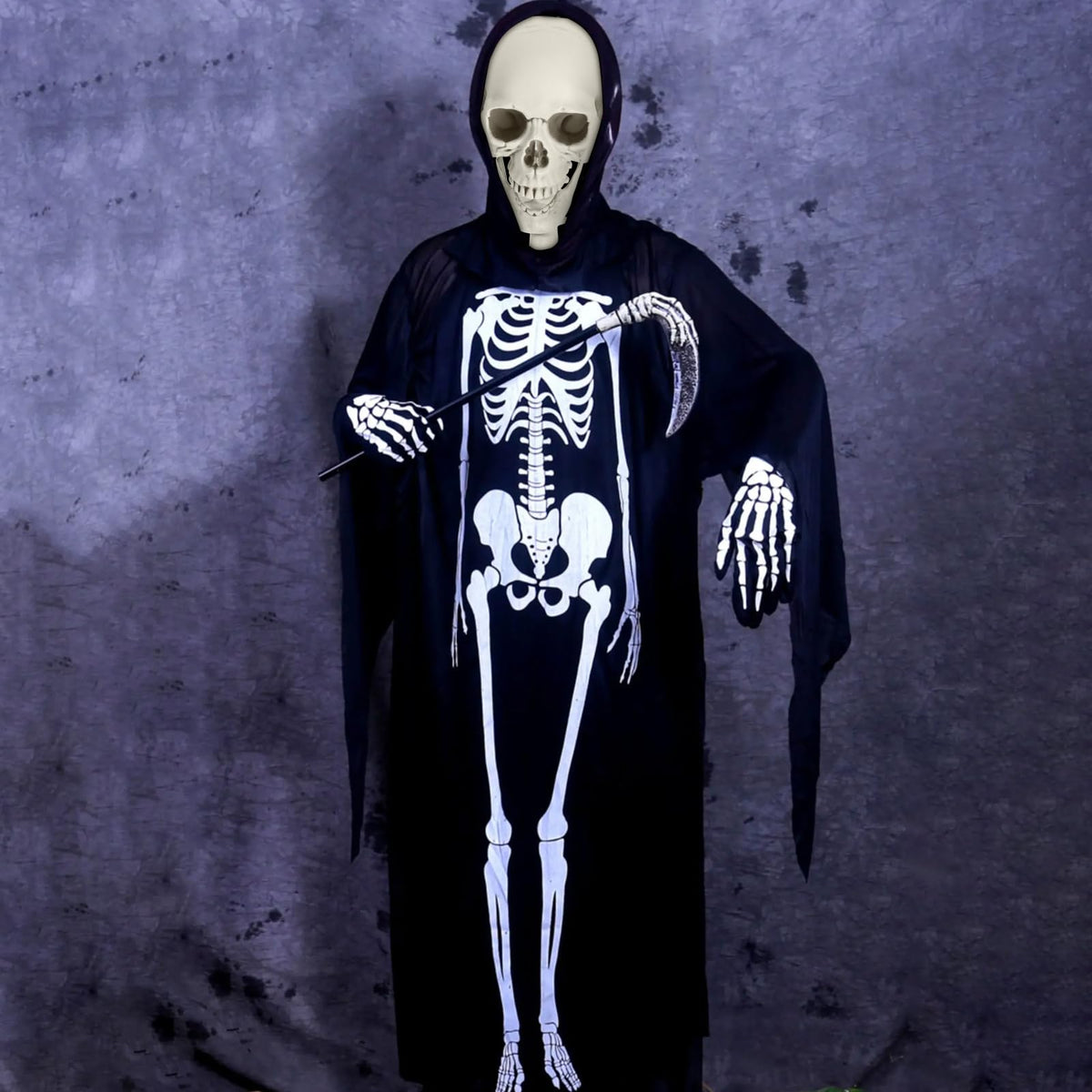 Full Size Movable Posable Skeleton M800