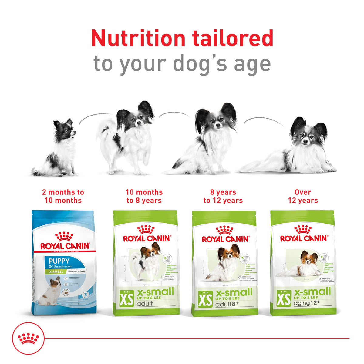 X-Small Adult Dry Dog Food 14 lb Bag G47414