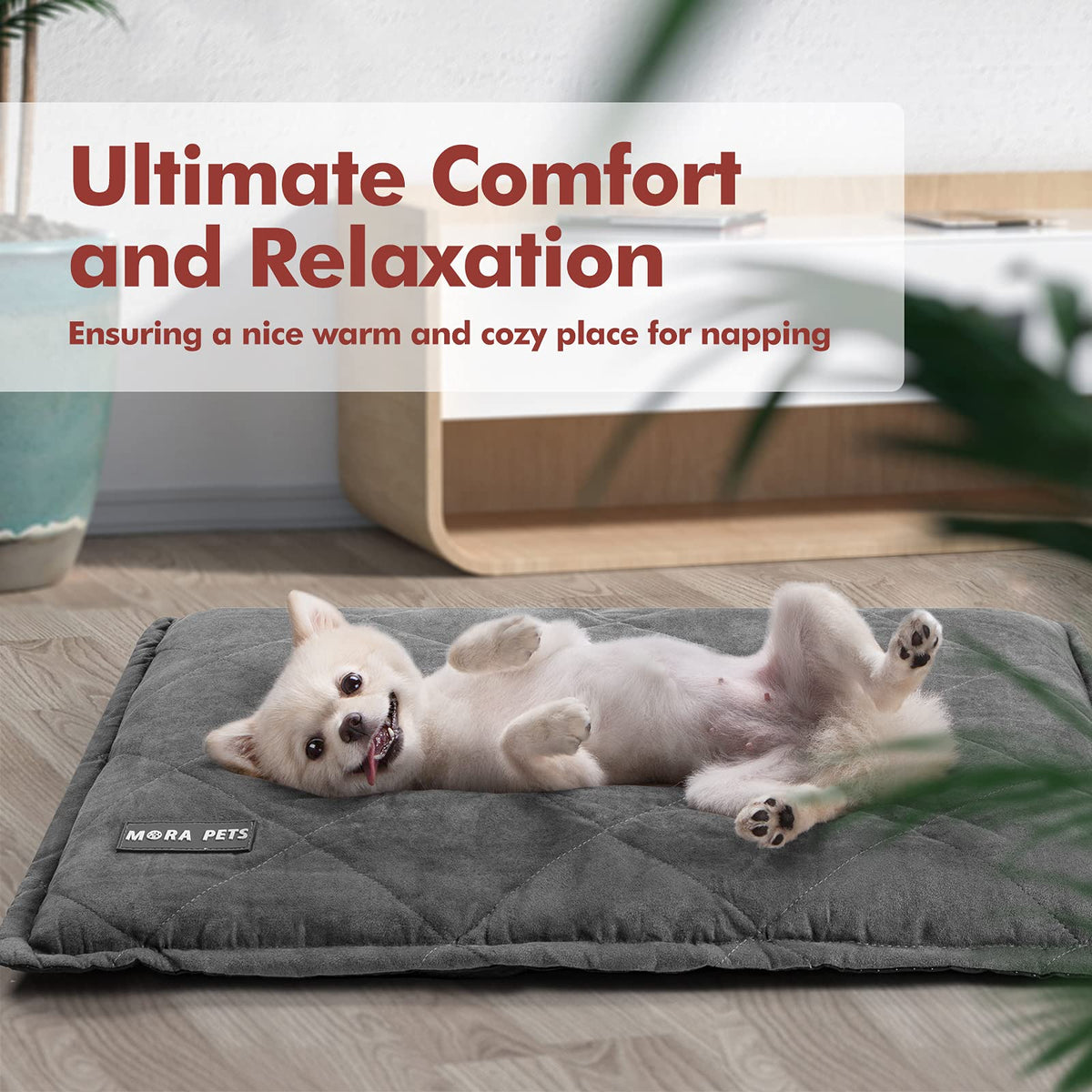 Self Heating Cat Bed 24 x 18 Inches U654