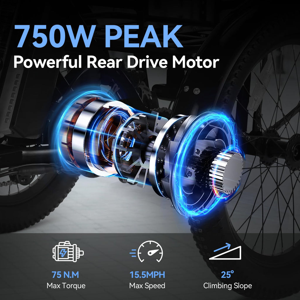 20'' Folding Electric Trike 750W 3-Wheel Bike with Removable Battery C20028