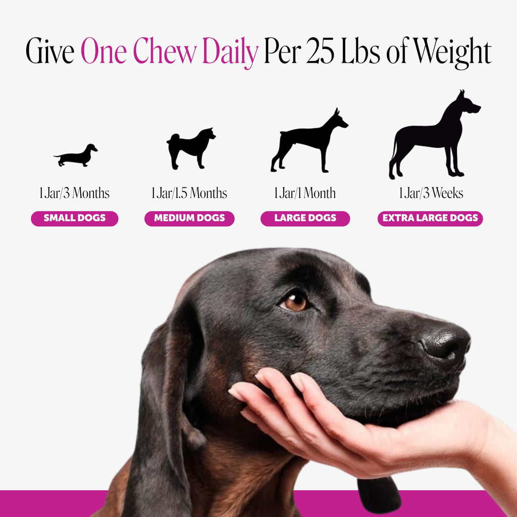 90 Ct Dog Multivitamin T69324