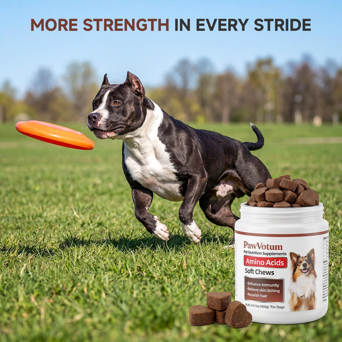 200 Chews Amino Acids for Dogs E286