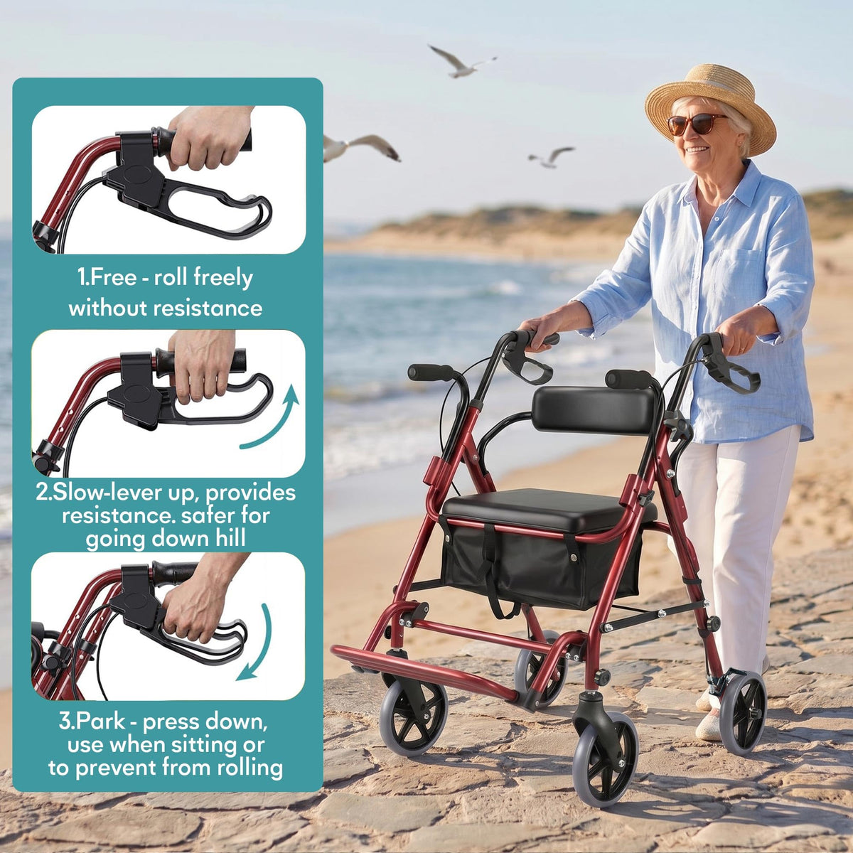 2-in-1 Rollator Walker with Seat B4292
