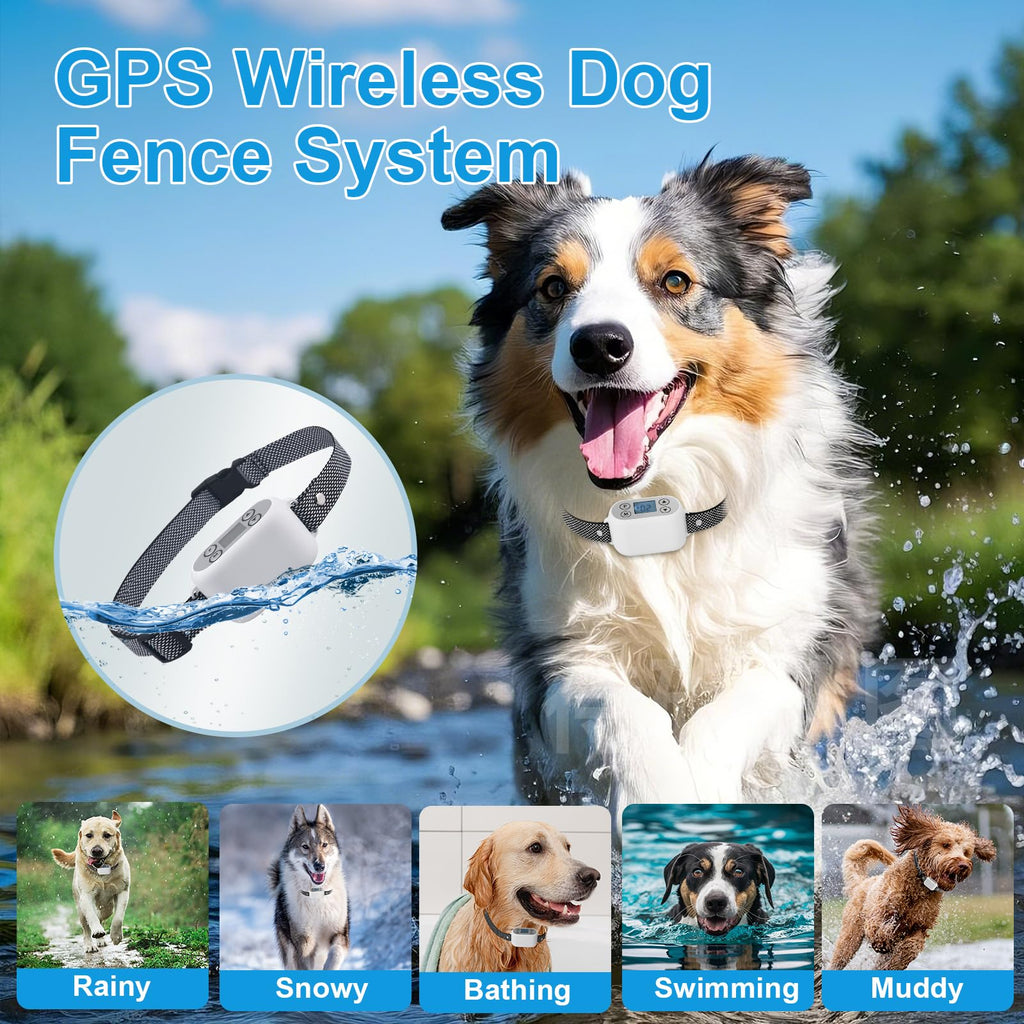 Wireless Dog Fence System with App Control, IPX7 Waterproof, up to 5 Dogs A950