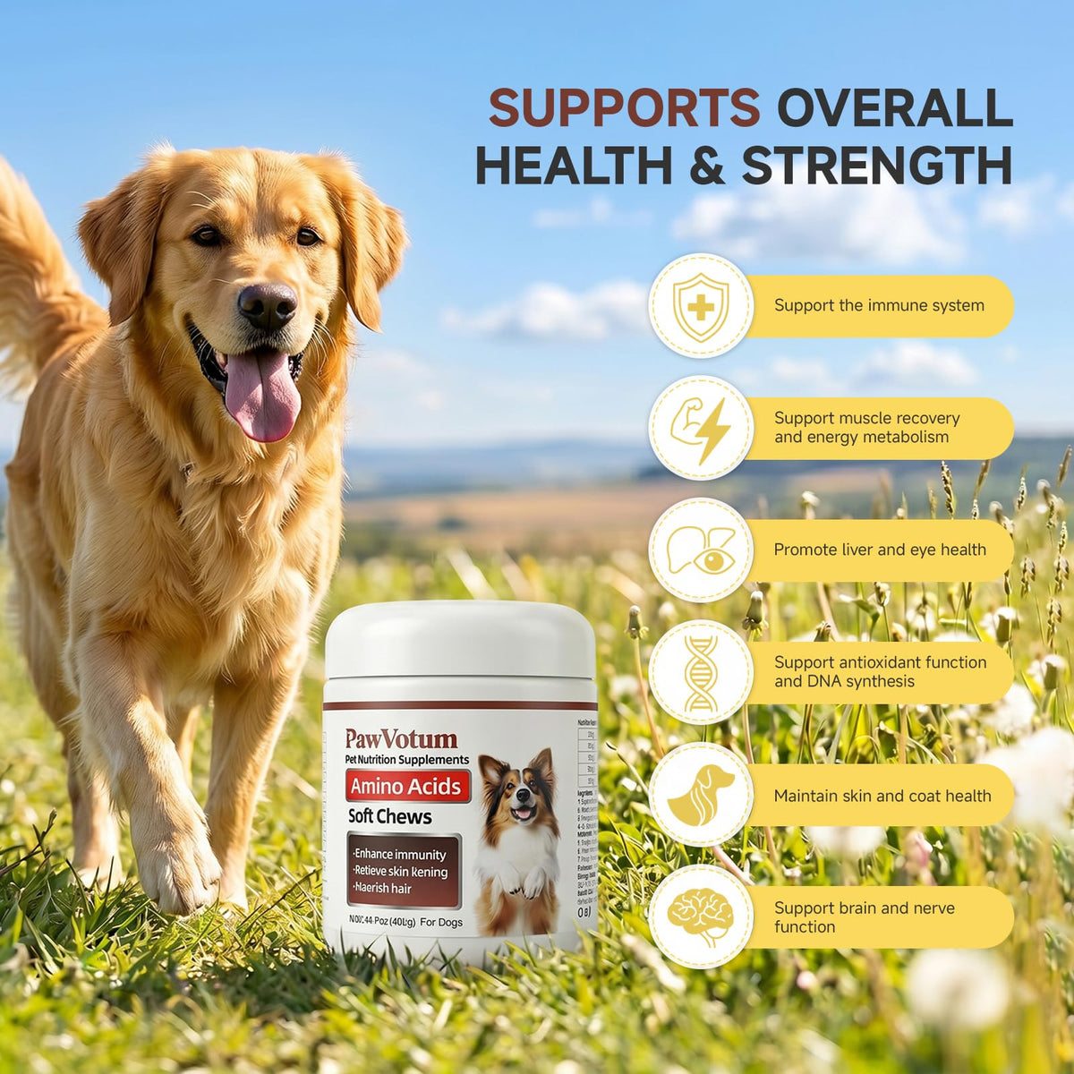 200 Chews Amino Acids for Dogs E286