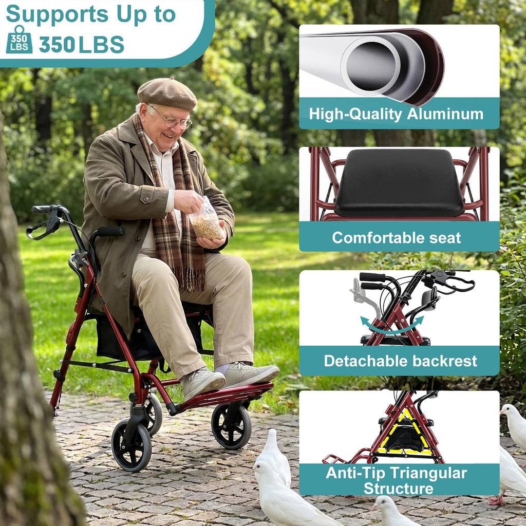 2-in-1 Rollator Walker with Seat B4292