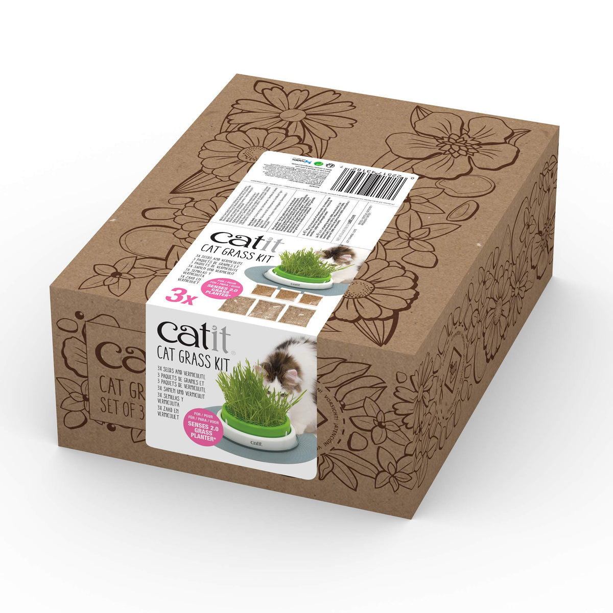 Cat Grass Seeds Set of 3 U16110