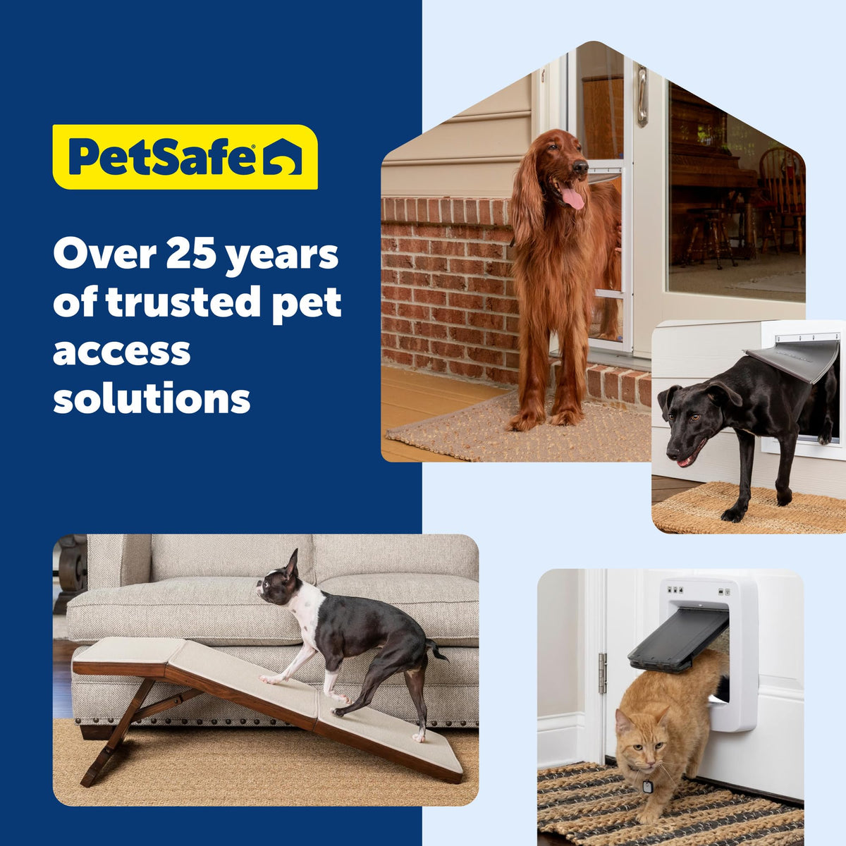 Folding Dog Stairs K656633