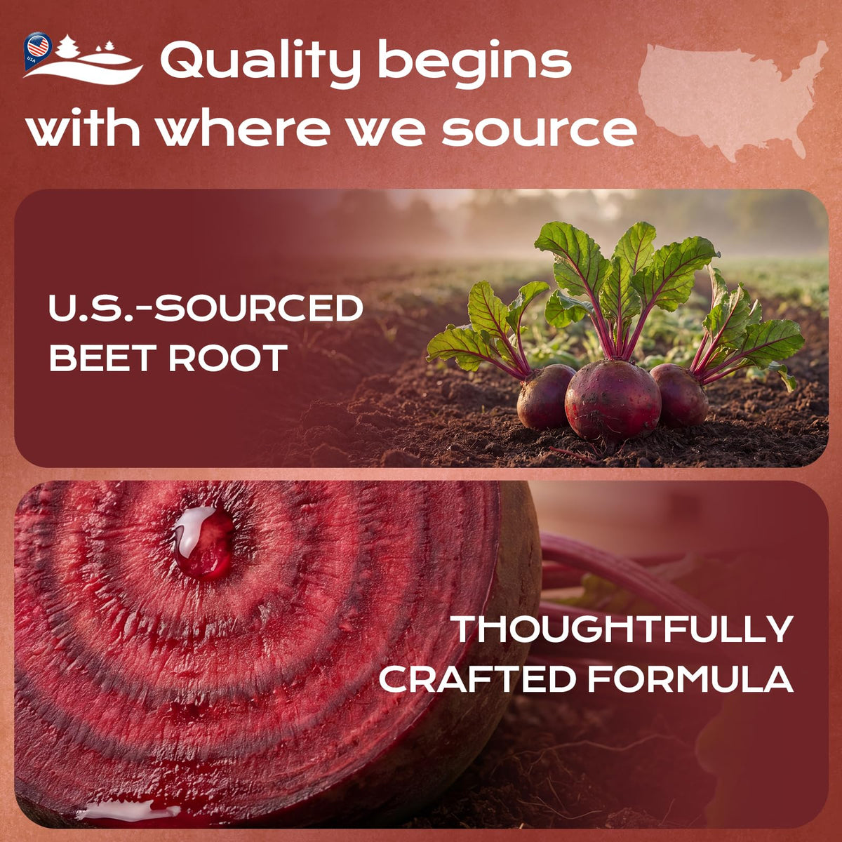 Beet Root Gummies with Grape Seed & CoQ10 Y976712