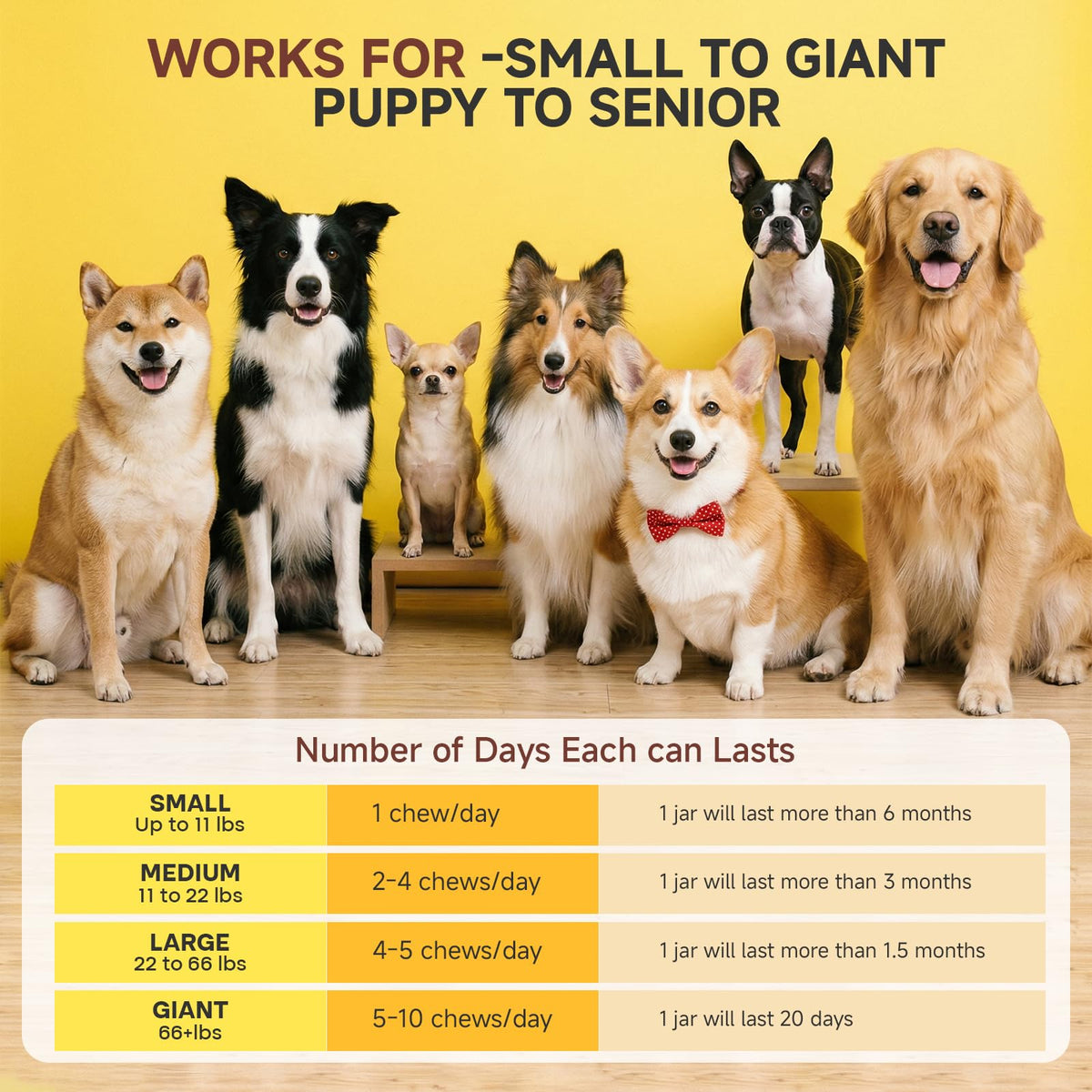 200 Chews Amino Acids for Dogs E286