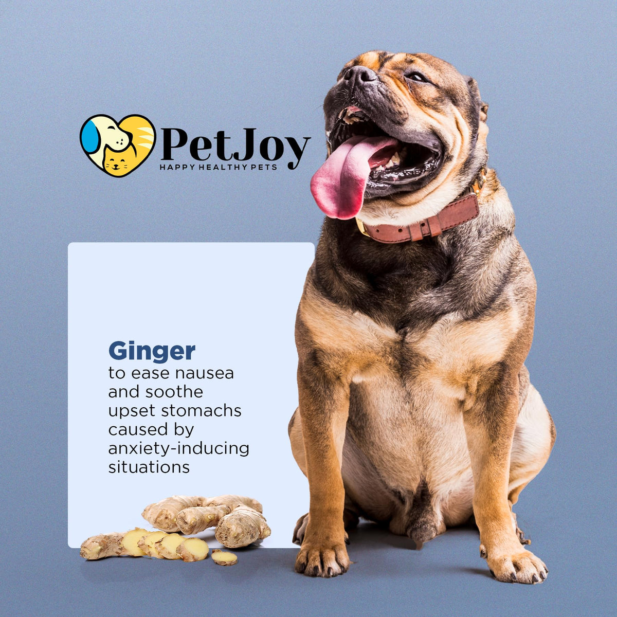 Hemp Calming Chews for Dogs with Chamomile 60 Bacon Treats Q91258