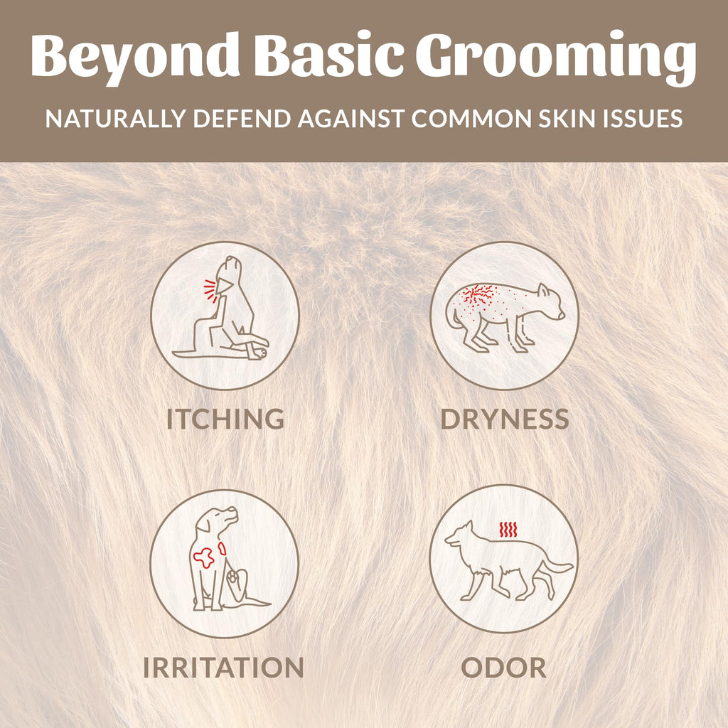 Probiotic Dog Shampoo and Conditioner 16 oz B181776