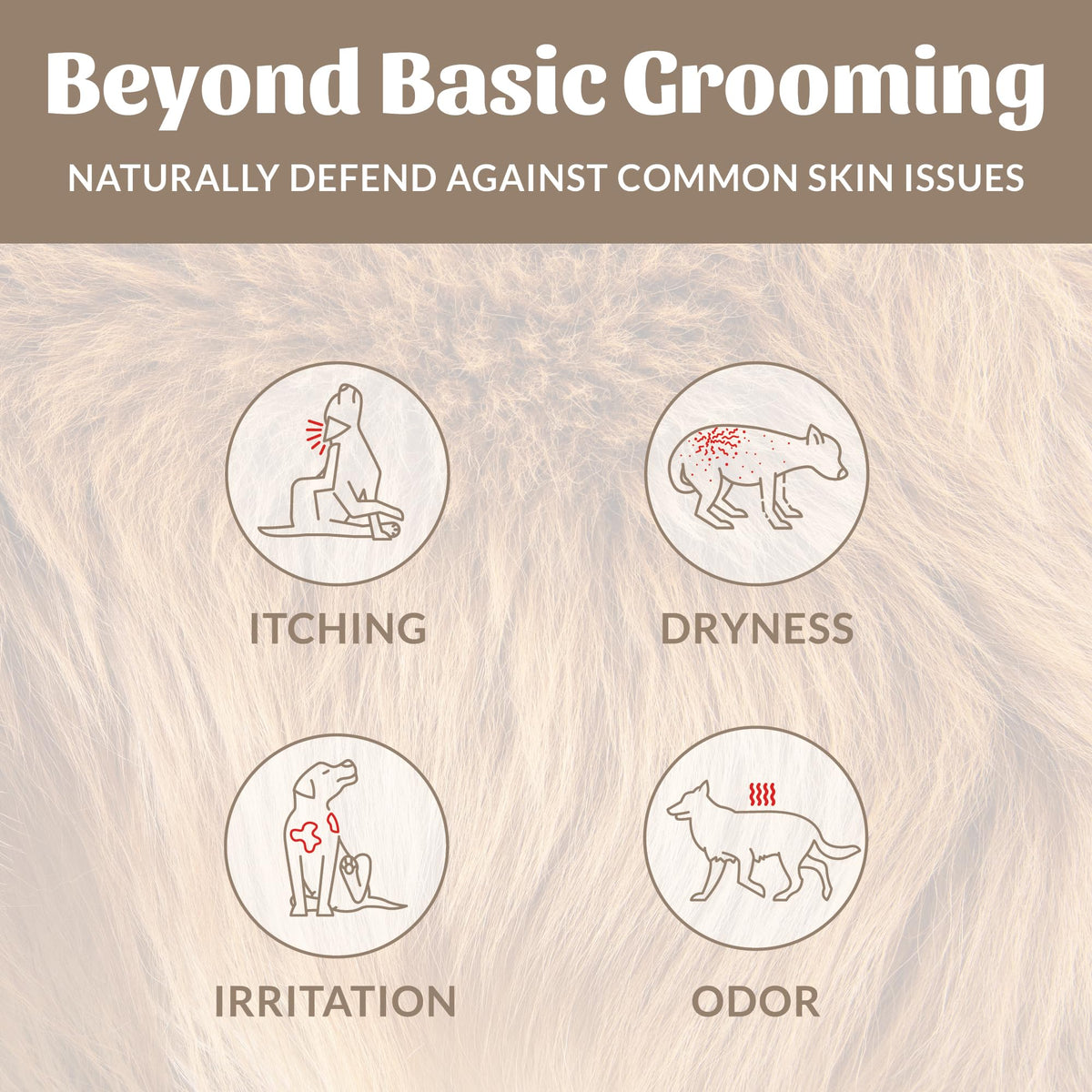 Probiotic Dog Shampoo and Conditioner 16 oz B181776