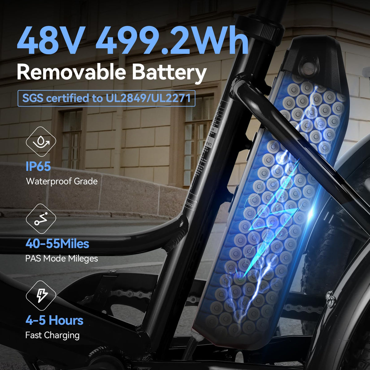 20'' Folding Electric Trike 750W 3-Wheel Bike with Removable Battery C20028
