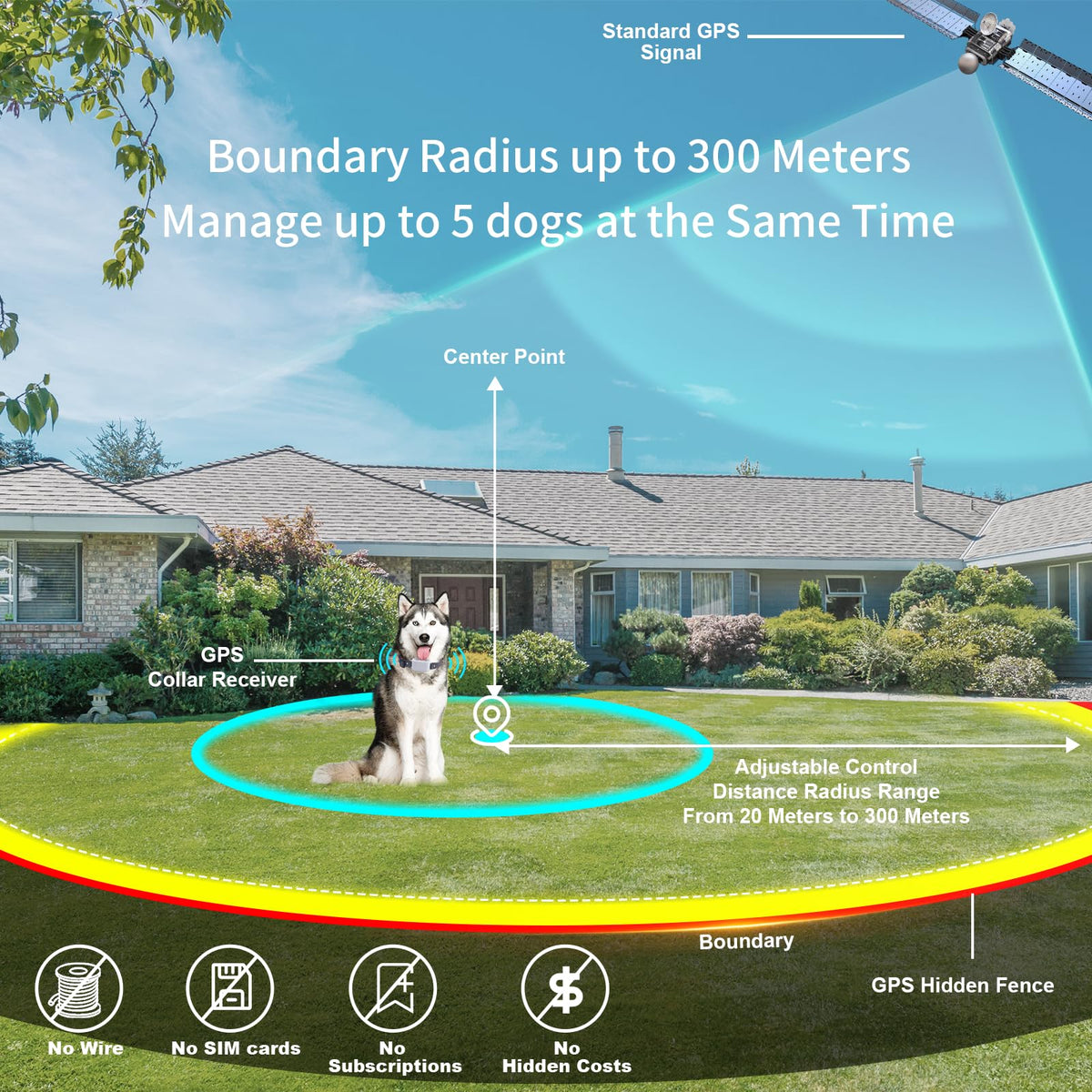 Wireless Dog Fence System with App Control, IPX7 Waterproof, up to 5 Dogs A950