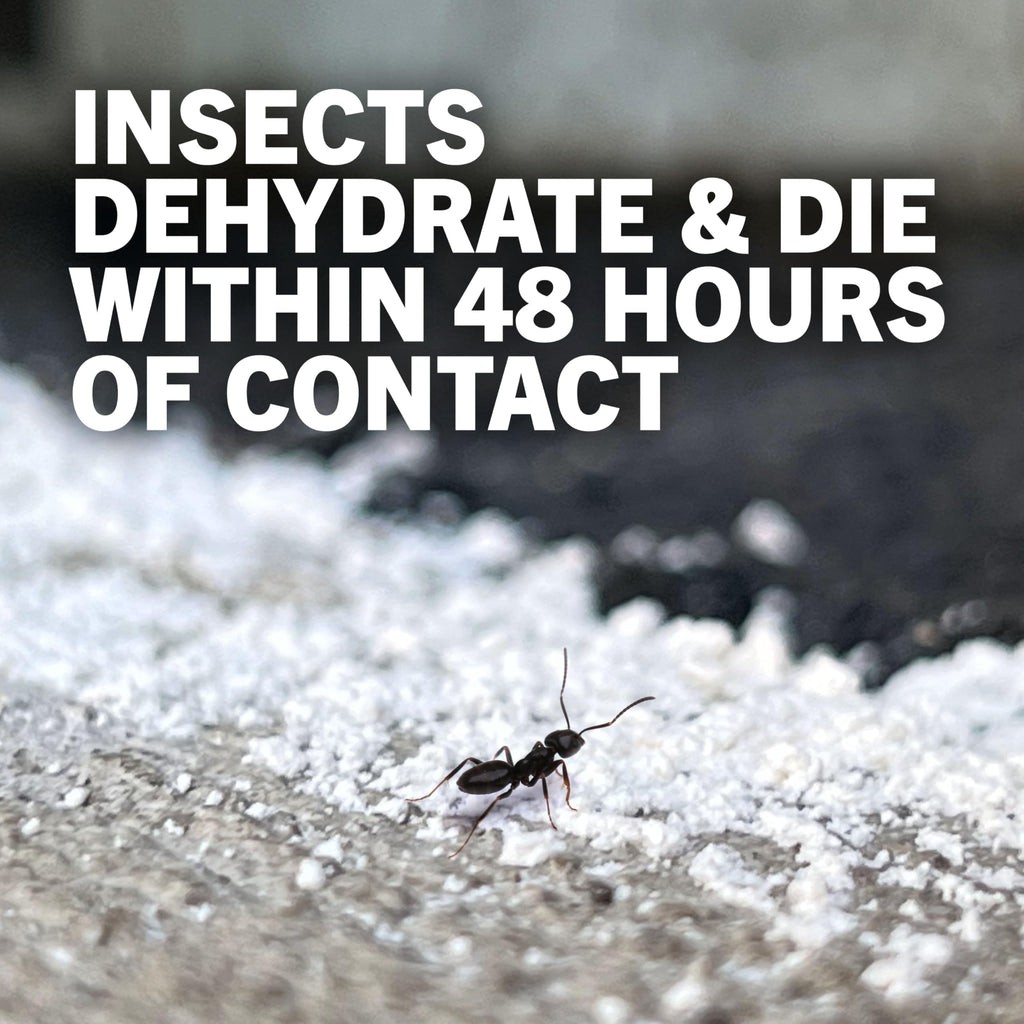 4 lb Diatomaceous Earth Crawling Insect Killer S858692