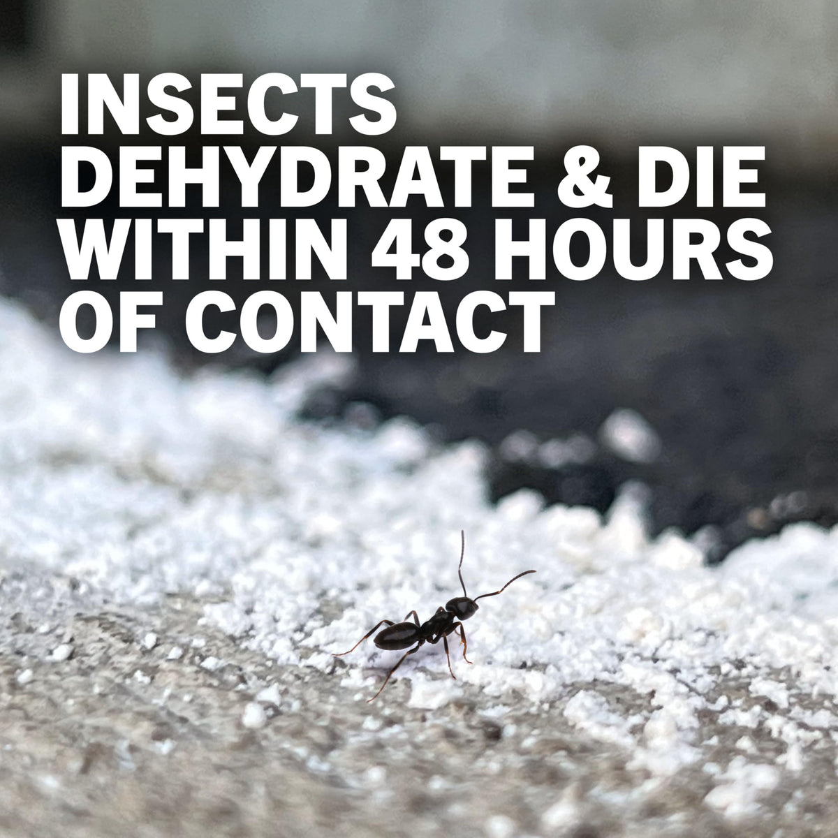 4 lb Diatomaceous Earth Crawling Insect Killer S858692